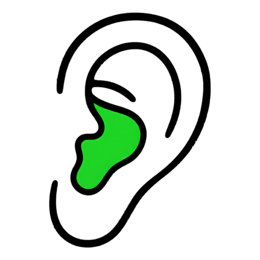 Custom-made Ear Protection